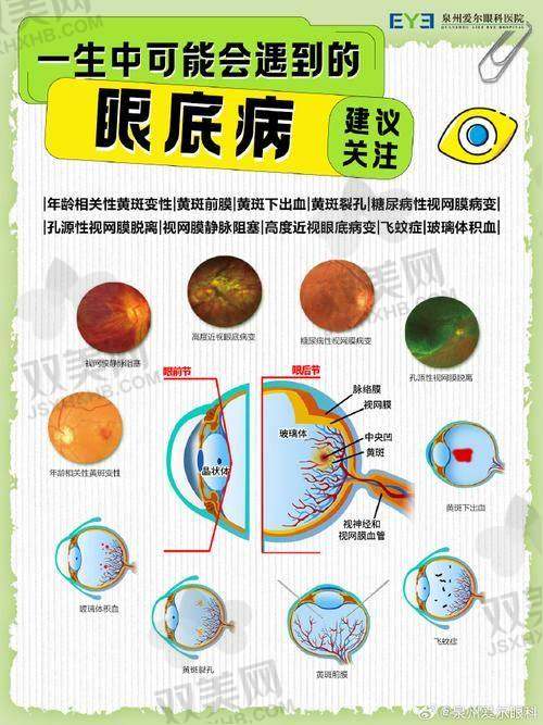 【包头市第四 医院眼科怎么预约挂号】