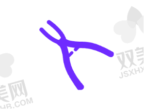 【北京微贝.芽美口腔门诊部怎么样】